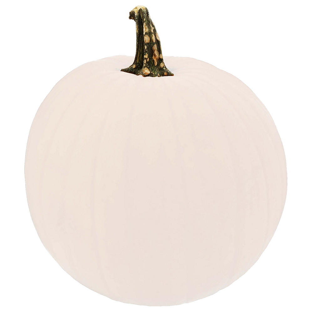 H-E-B Texas Roots Polar Bear Pumpkin