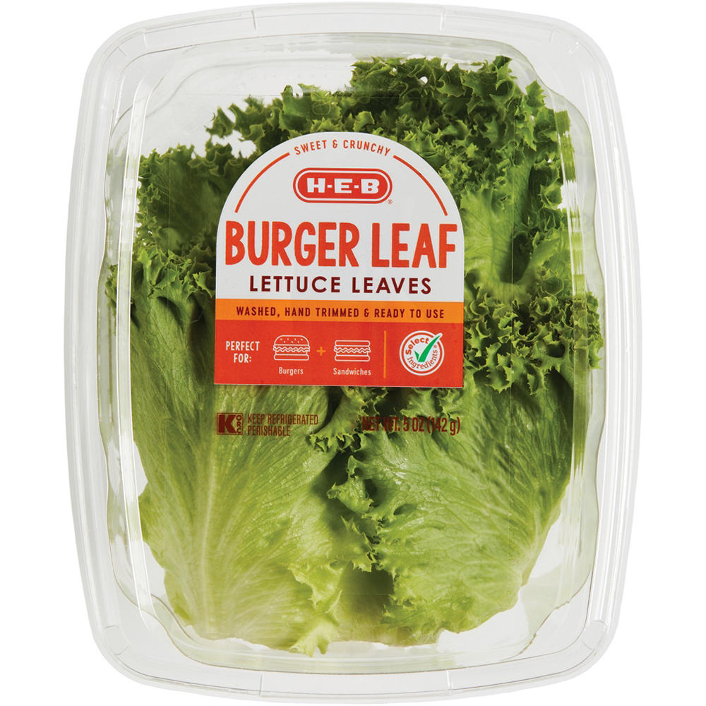 H-E-B Fresh Burger Leaf Lettuce Leaves, 5 oz