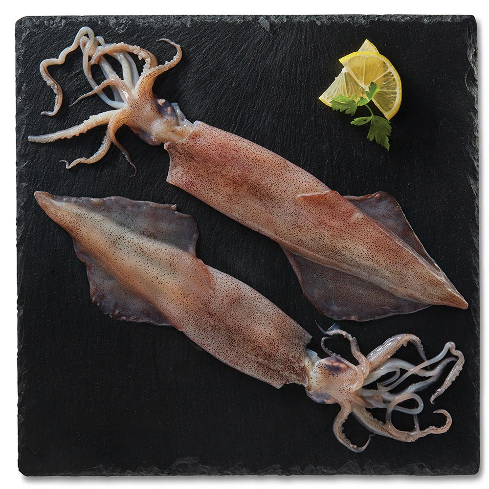 H-E-B Wild Caught Fresh Whole Squid, Avg. 0.2 lb