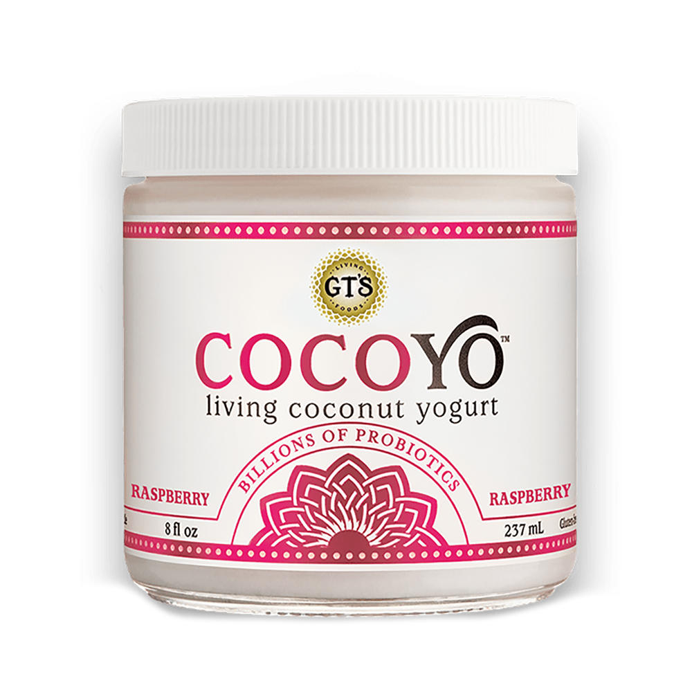 GTS Cocoyo Raspberry Living Coconut Yogurt, 8 oz
