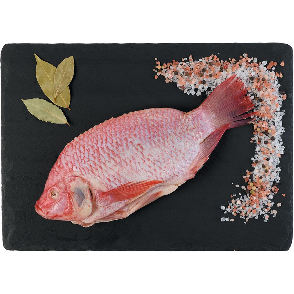 H-E-B Responsibly Raised Fresh Whole Red Tilapia, Avg. 2.3 lbs