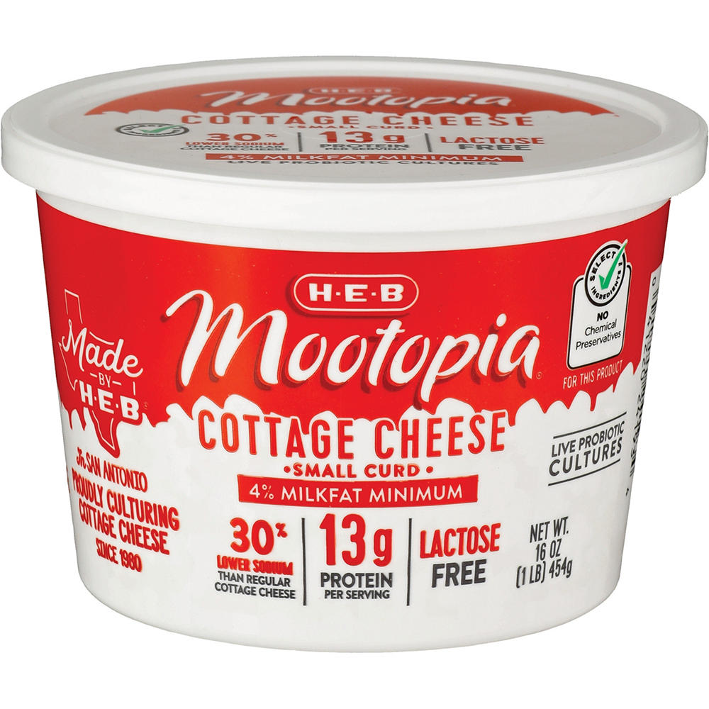 H-E-B Mootopia Lactose-Free Small Curd Cottage Cheese, 16 oz