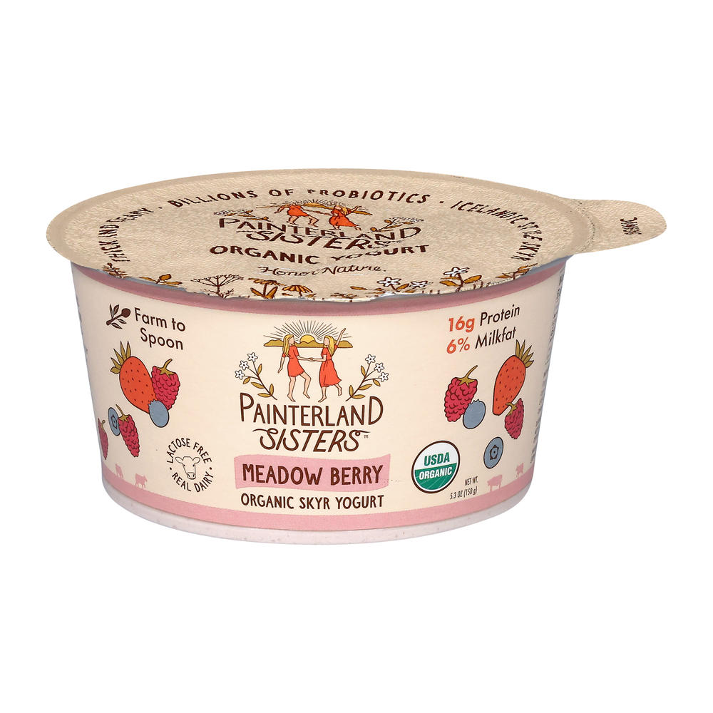 Painterland Sisters Organic Meadow Berry Icelandic Style Skyr, 5.3 oz