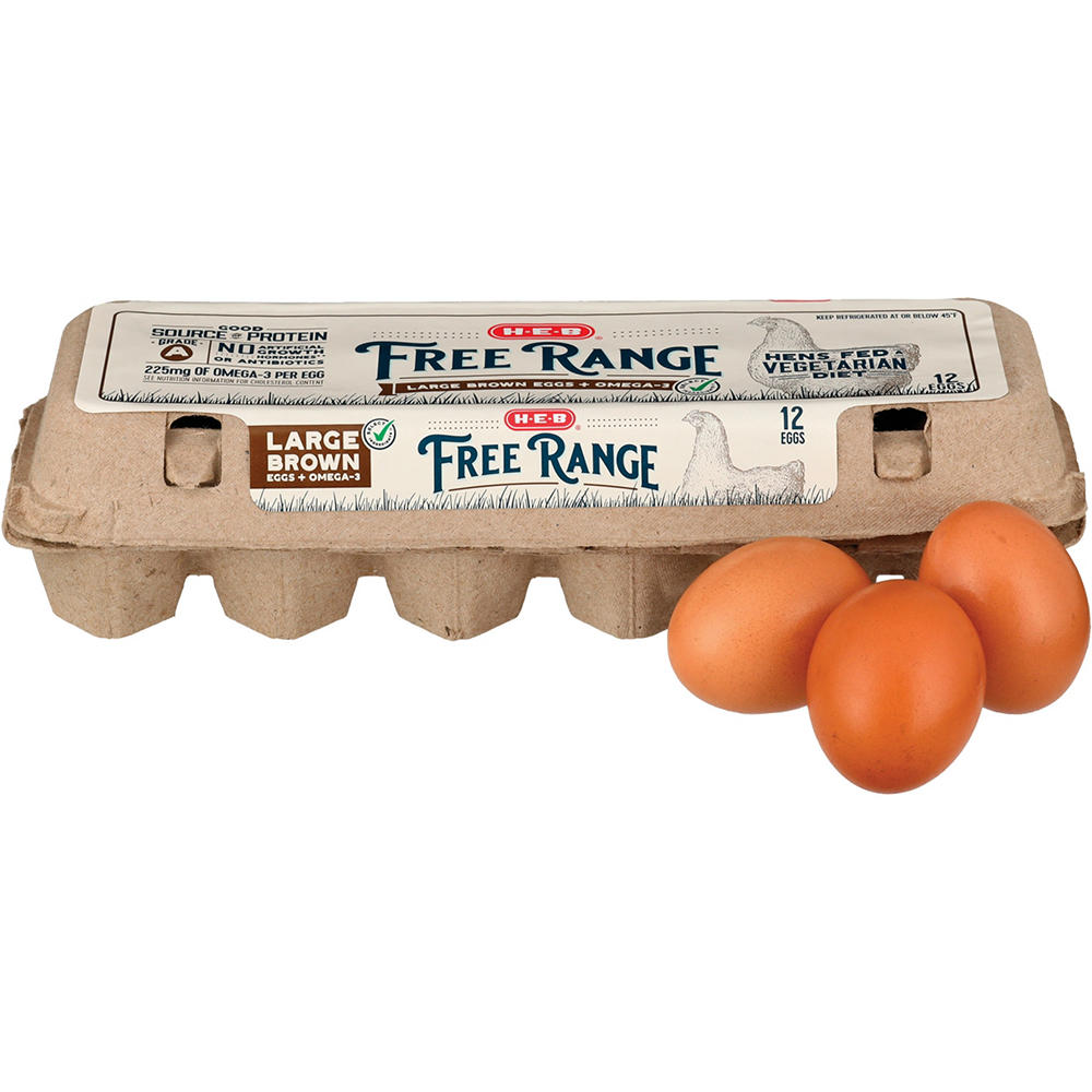 H-E-B Free Range Omega-3 Grade A Large Brown Eggs, 12 ct