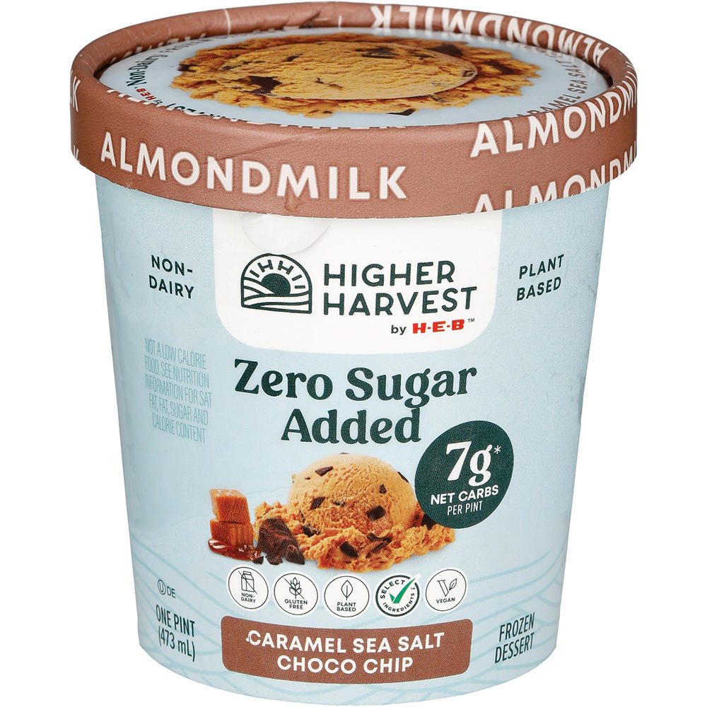 Higher Harvest by H-E-B Zero Sugar Added Caramel Sea Salt Choco Chip Non-Dairy Frozen Dessert, 1 pt