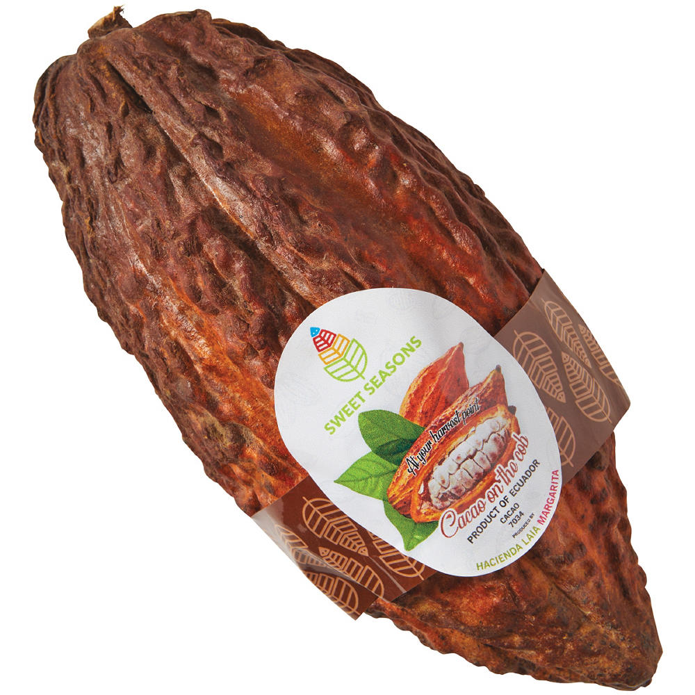 Fresh Cacao Bean, Avg. 1.6 lbs