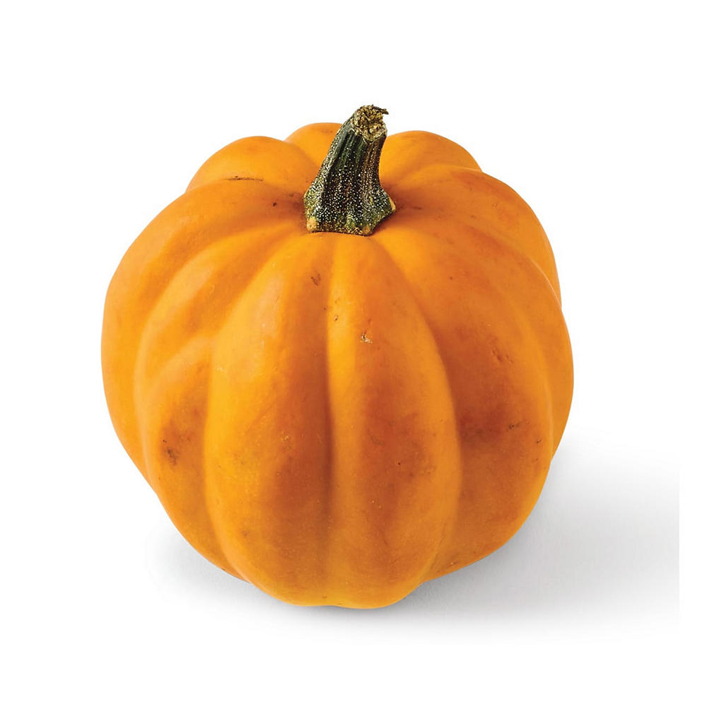 Fresh Gold Acorn Squash, Avg. 1.65 lbs