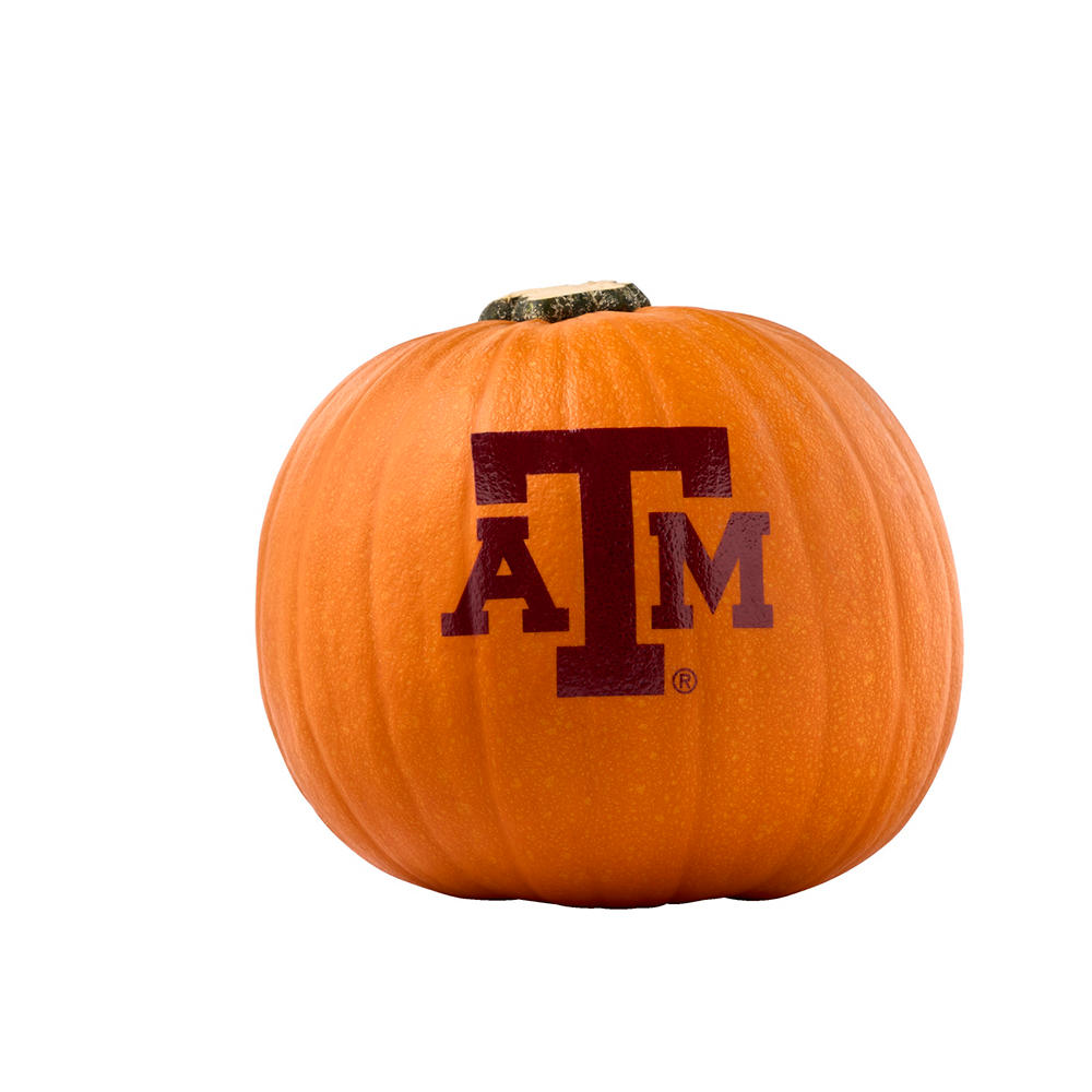 Fresh Painted NCAA A&M Aggies Pumpkin
