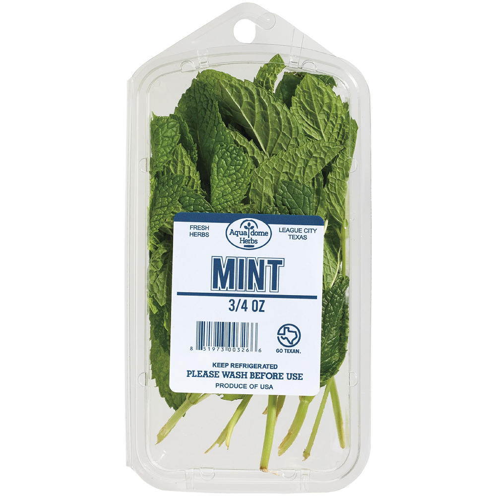 Fresh Mint