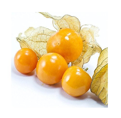 Peeled Cape Gooseberries, 6 Ounce