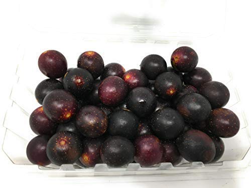Organic Seedless Muscadine Grapes, 16 OZ