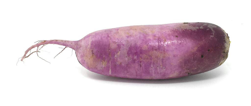 Root Daikon Purple Organic, 0.5lb