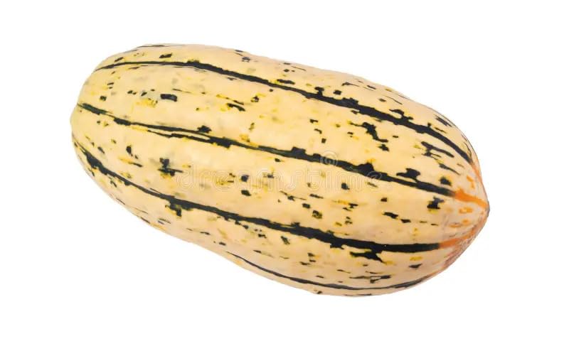 Organic Delicata Squash