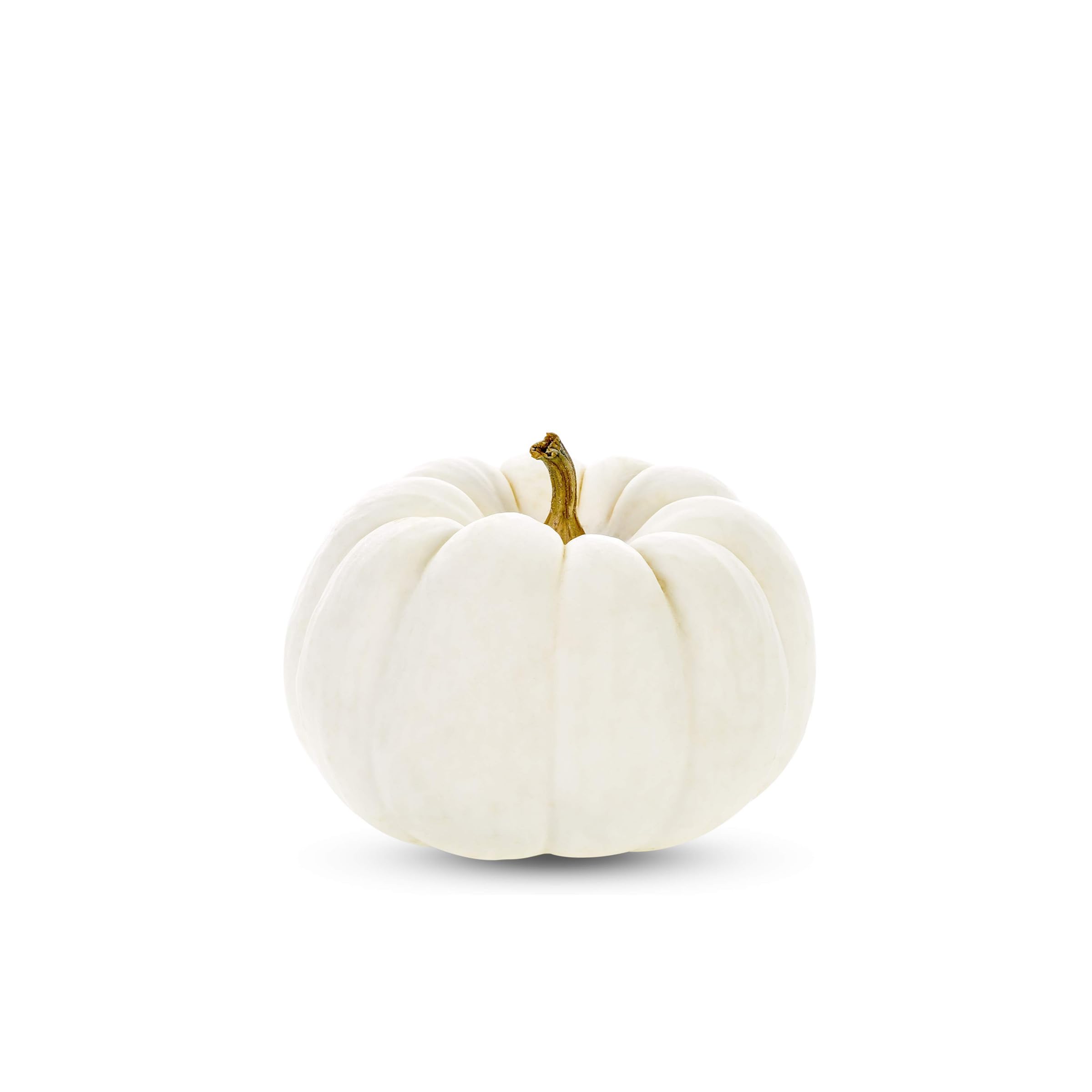 Baby White Pumpkin