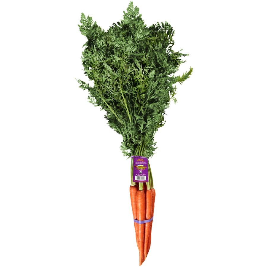 Organic Green Top Carrots Bunch