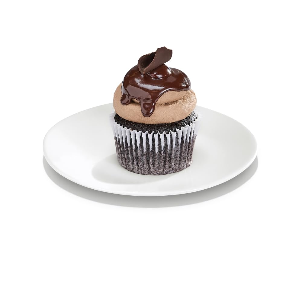 Small Chocolate Eruption Cupcake