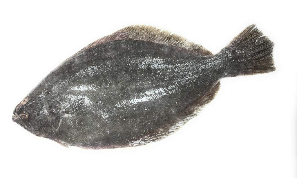 Seafood Flounder Whole