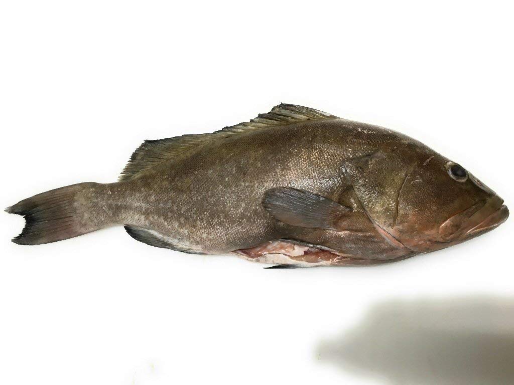 Seafood Grouper Whole