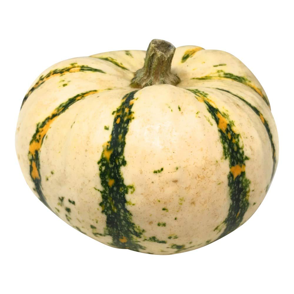 Tondo Pumpkin