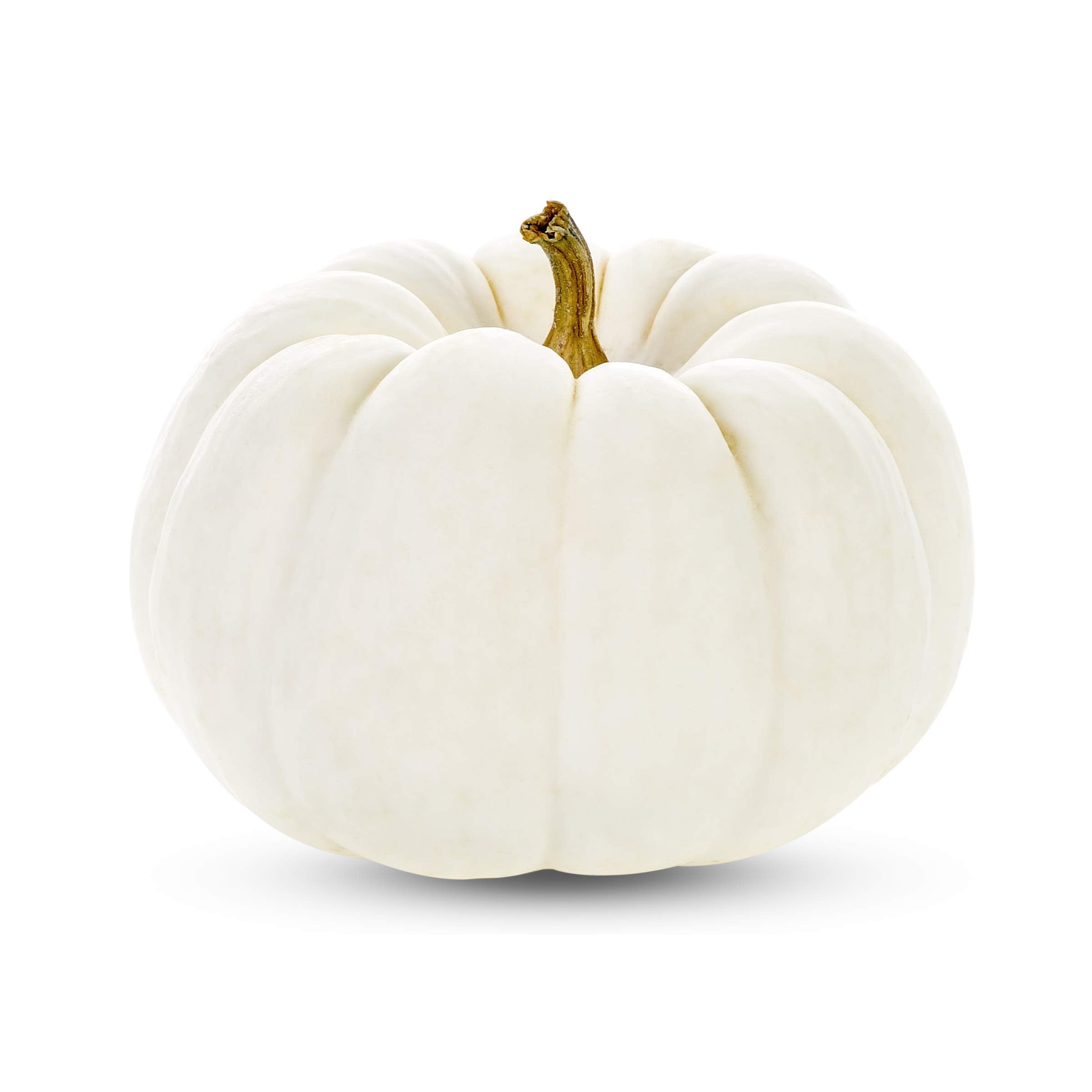 White Pumpkin