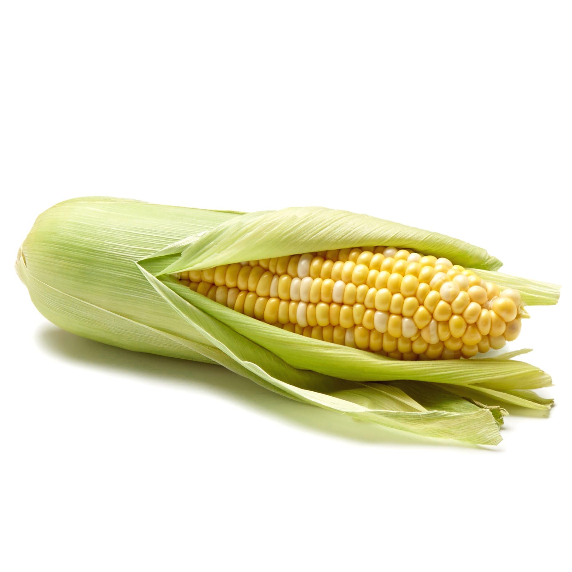 Bi-Color Corn