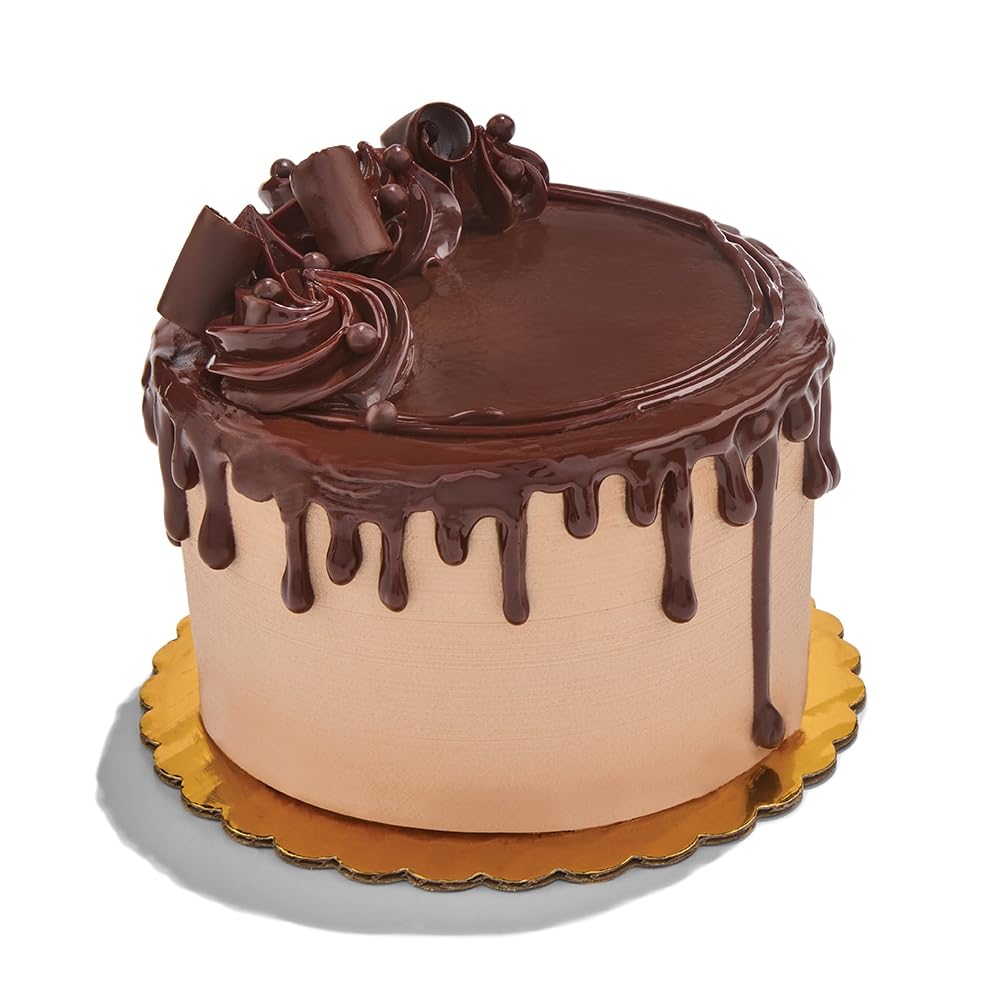 Whole Foods Market Chocolate Eruption 5in