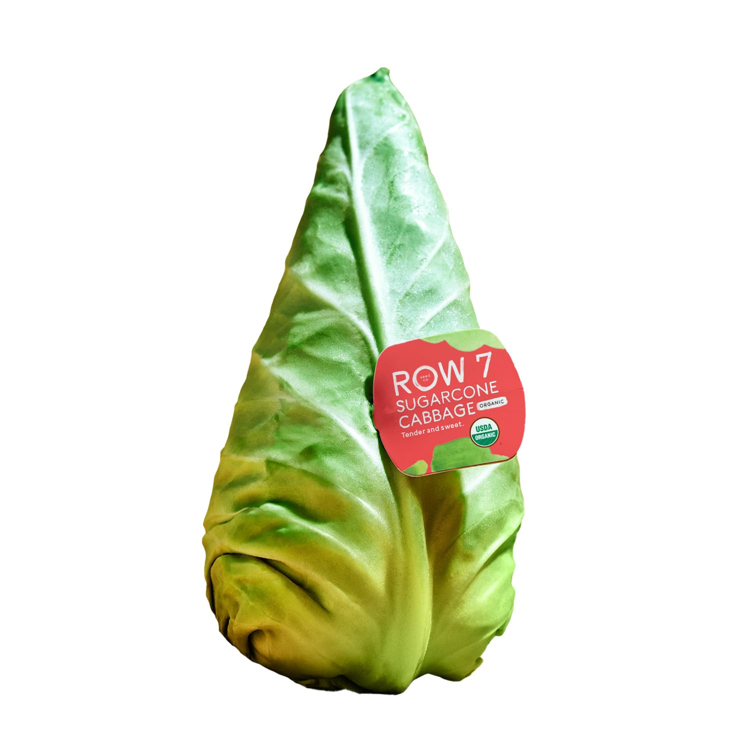 Row 7 Organic Sugarcone Cabbage