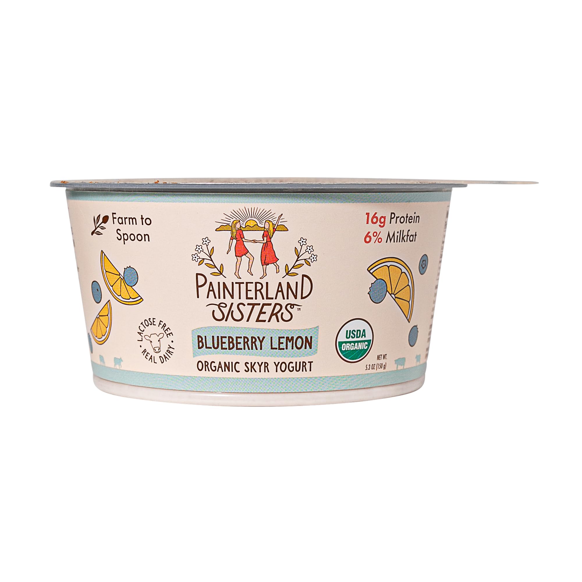 Yogurt Icelandic Style Skyr Blueberry Lemon Organic, 5.3 Ounce