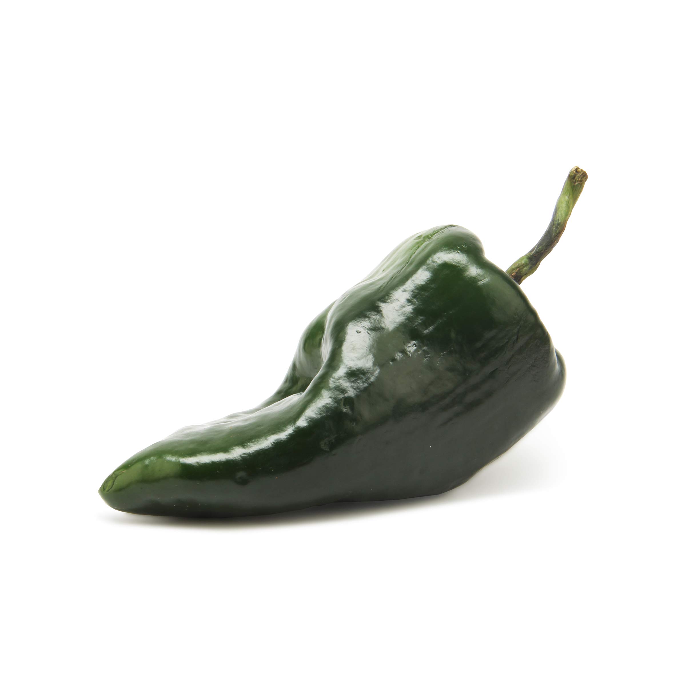 Poblano Pepper