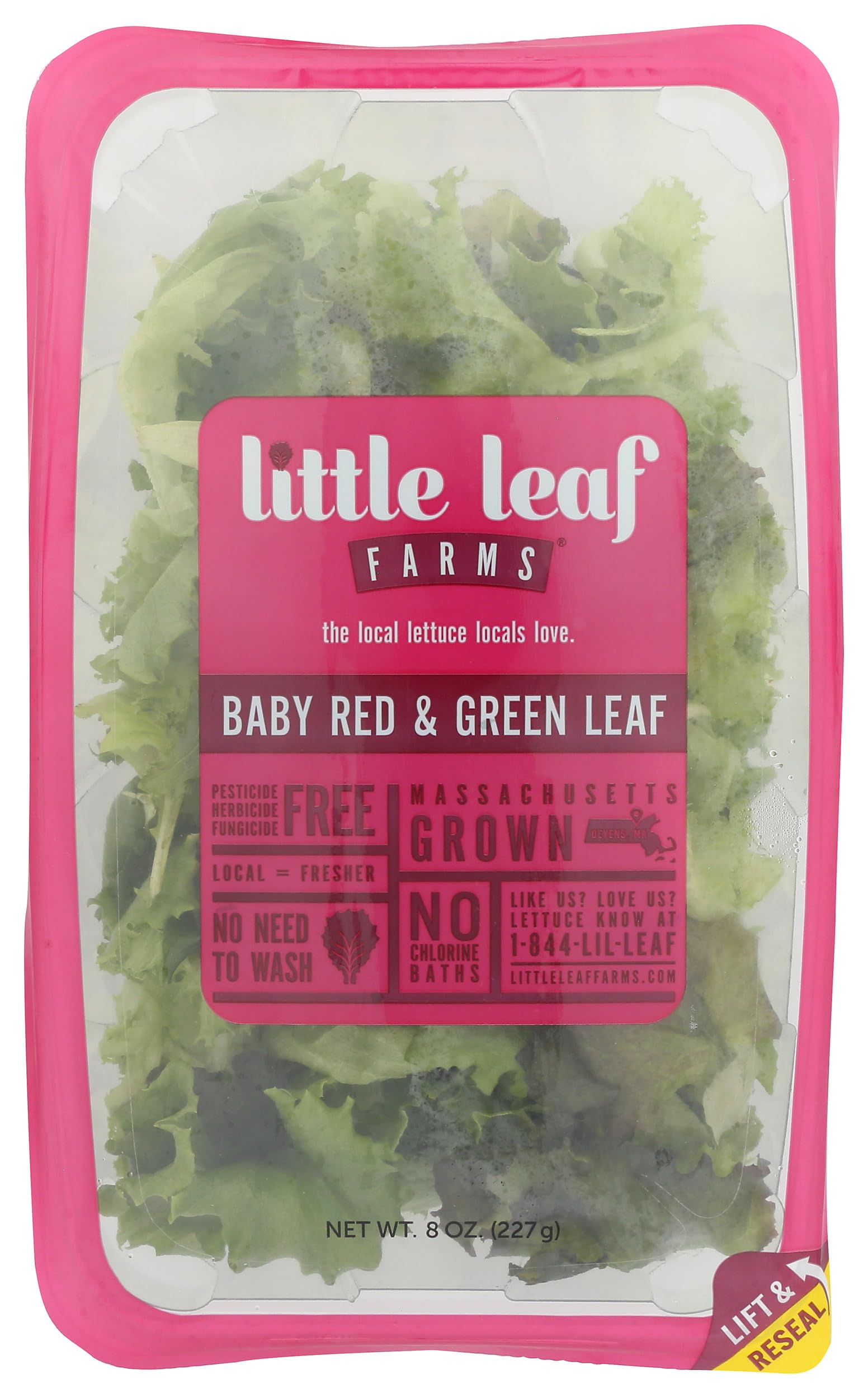 Little Leaf Farms Baby Red and Green Leaf Lettuce, 8 OZ