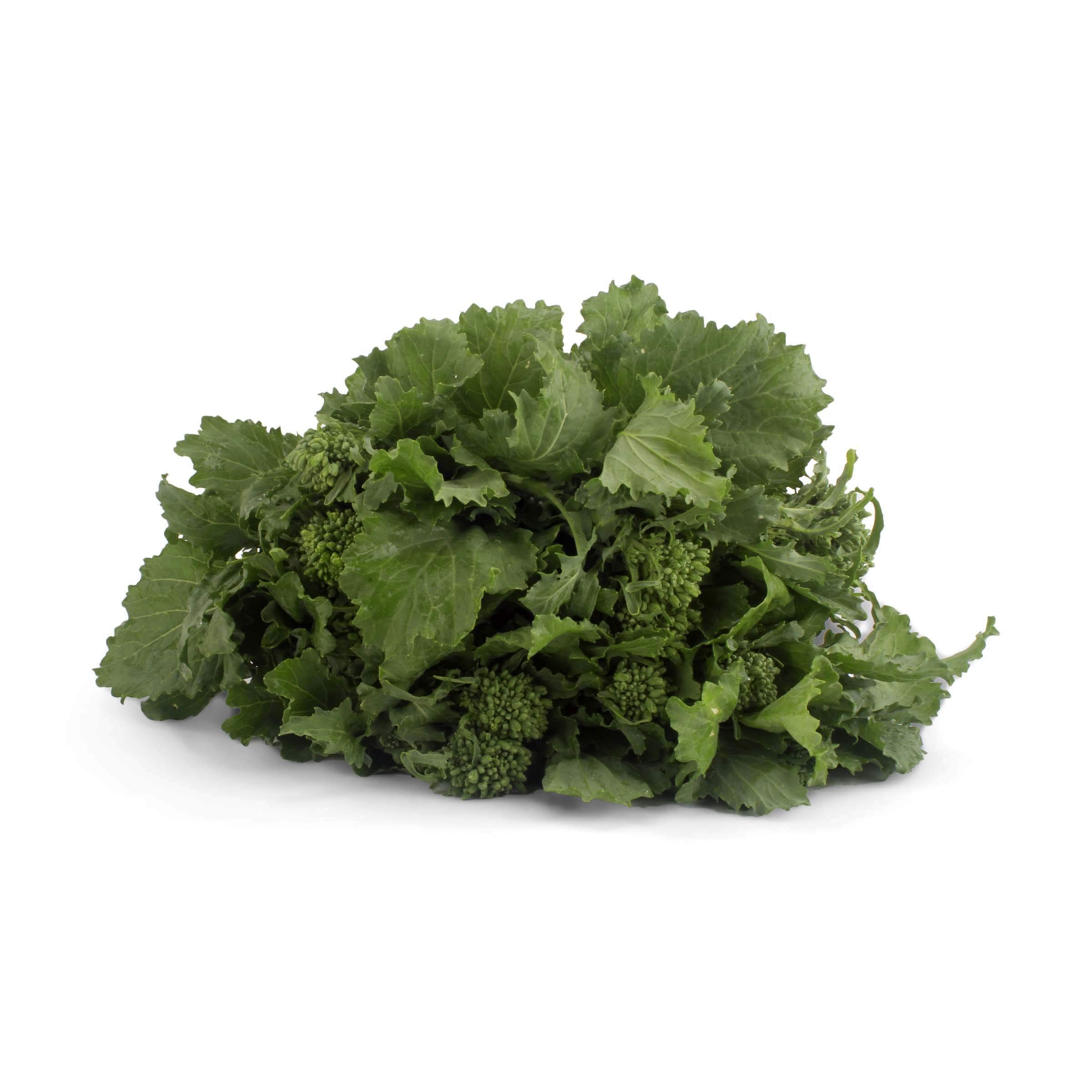 GREENS BROCCOLI RABE RAPINI CV