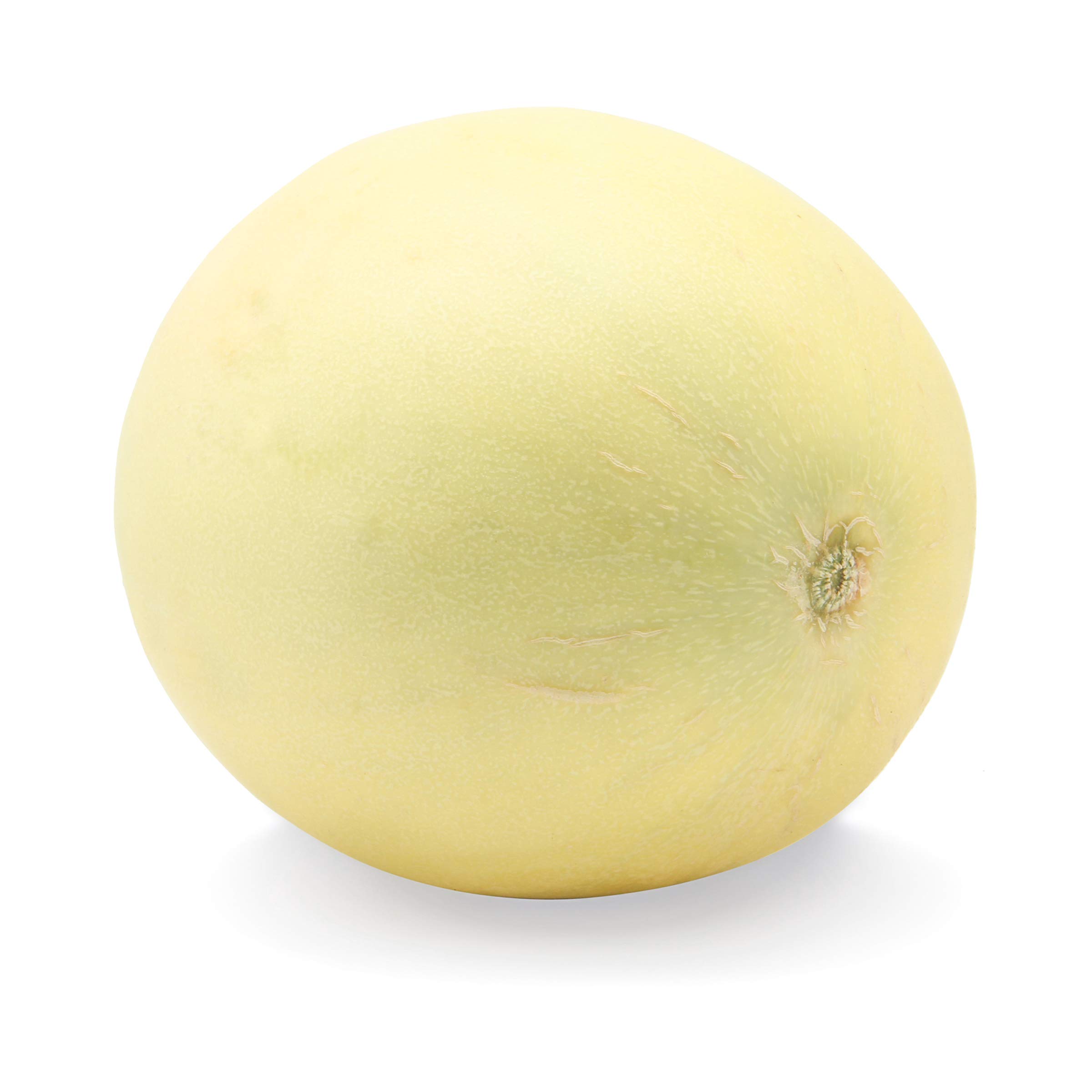 Orange Flesh Honeydew