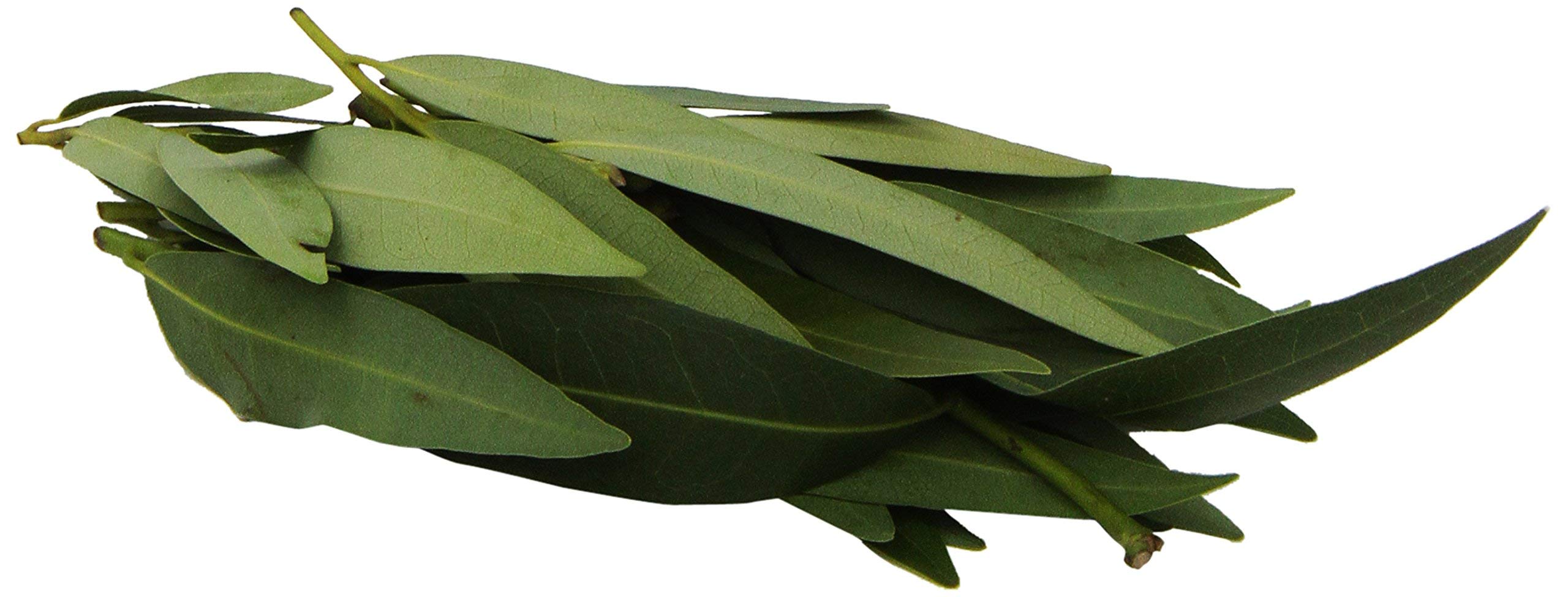 Rock Garden Organic Bay Leaf, 0.5 OZ