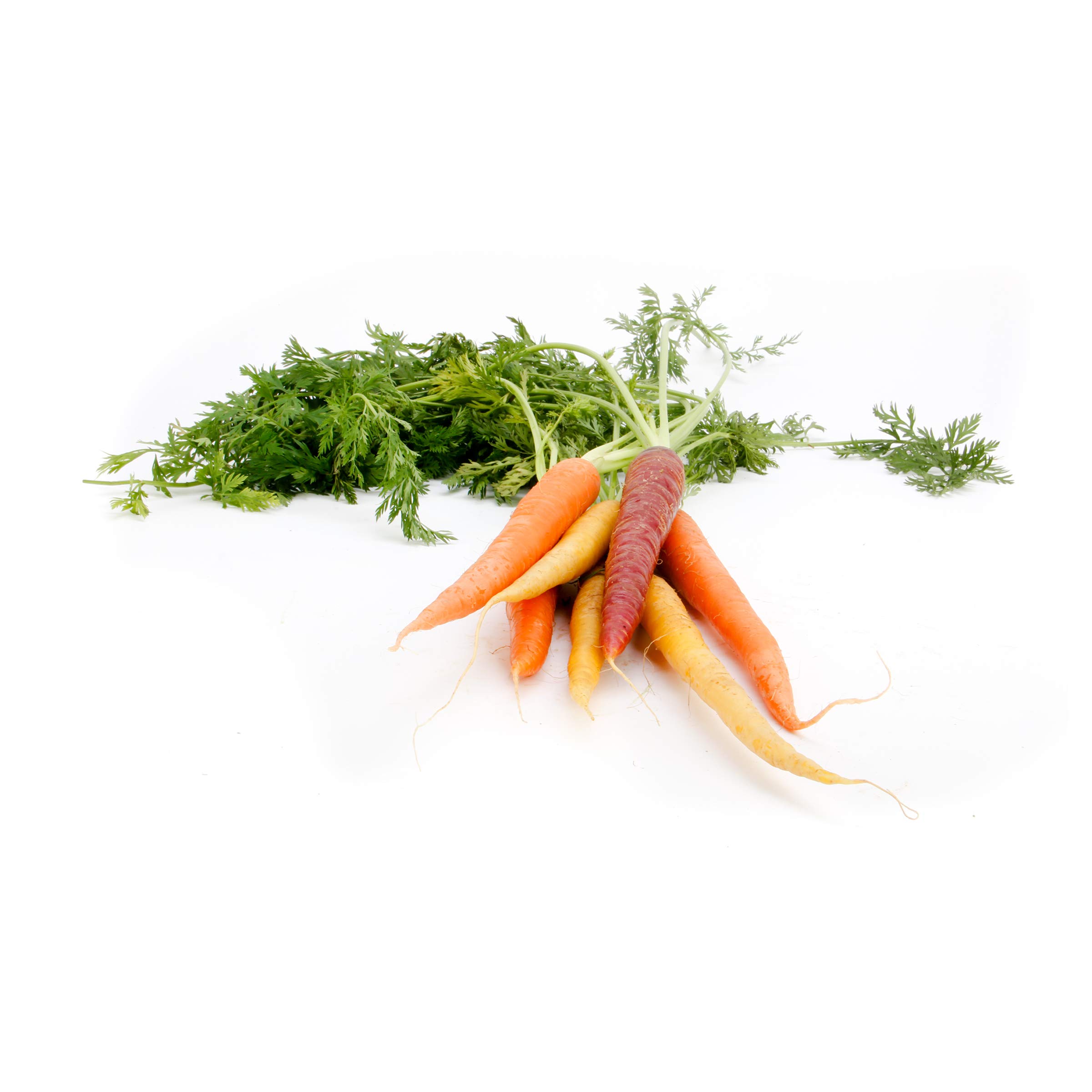Cal-Organic Rainbow Carrots Bunch, 1 ct