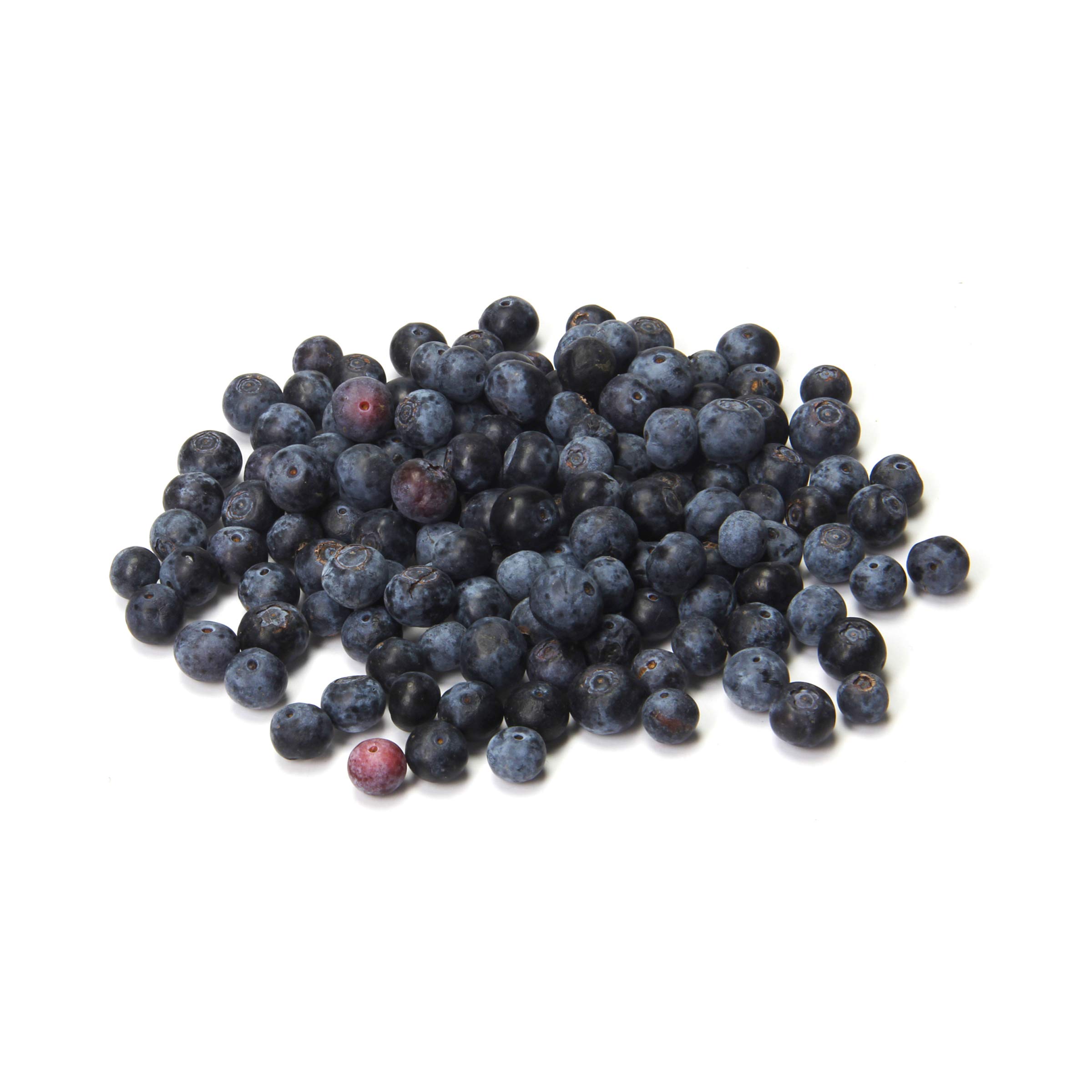 Wild Blueberries, 1 PT