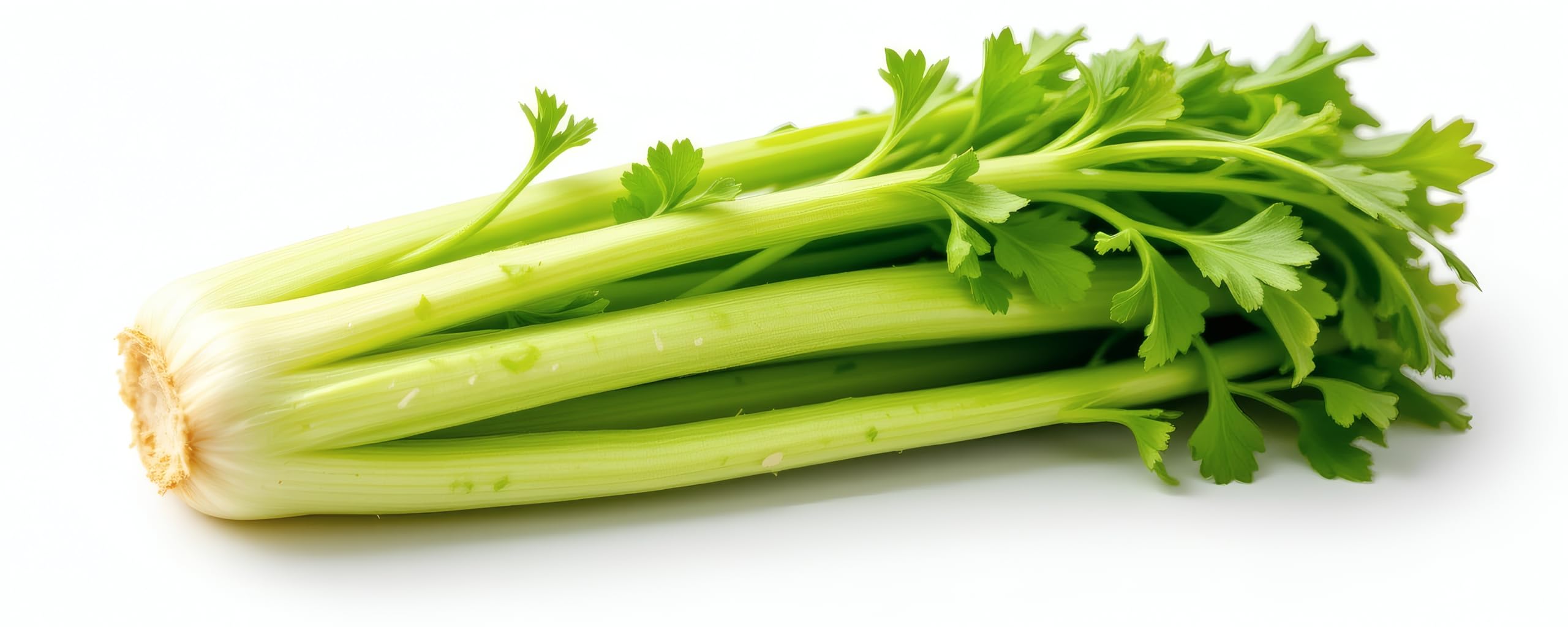 Celery, 1 Each
