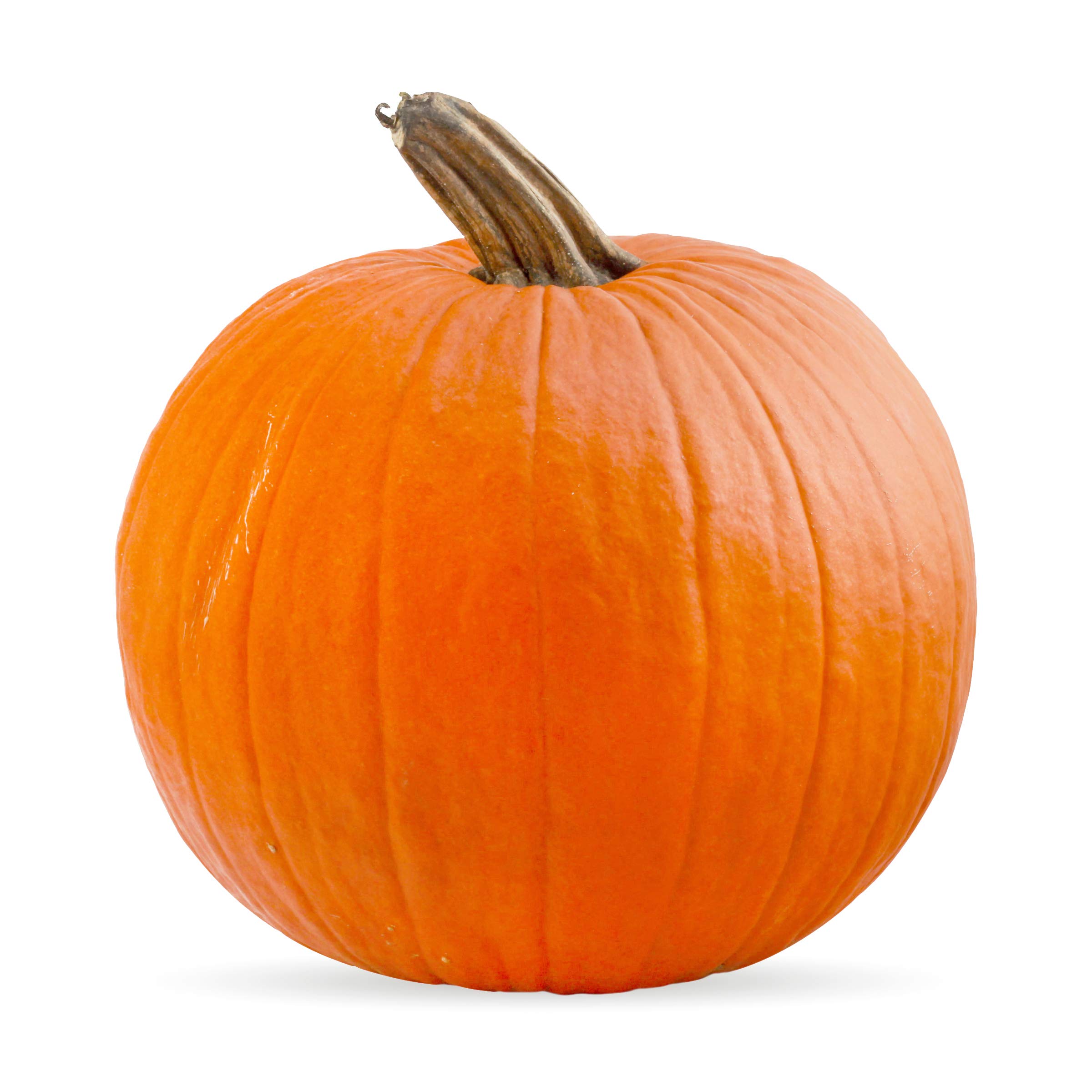 Organic Pumpkin Pie Squash