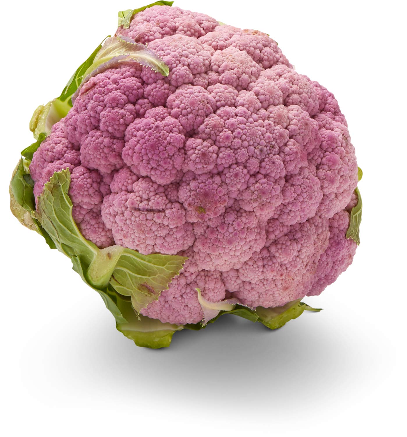 Cauliflower Purple Conventional, 1 Each