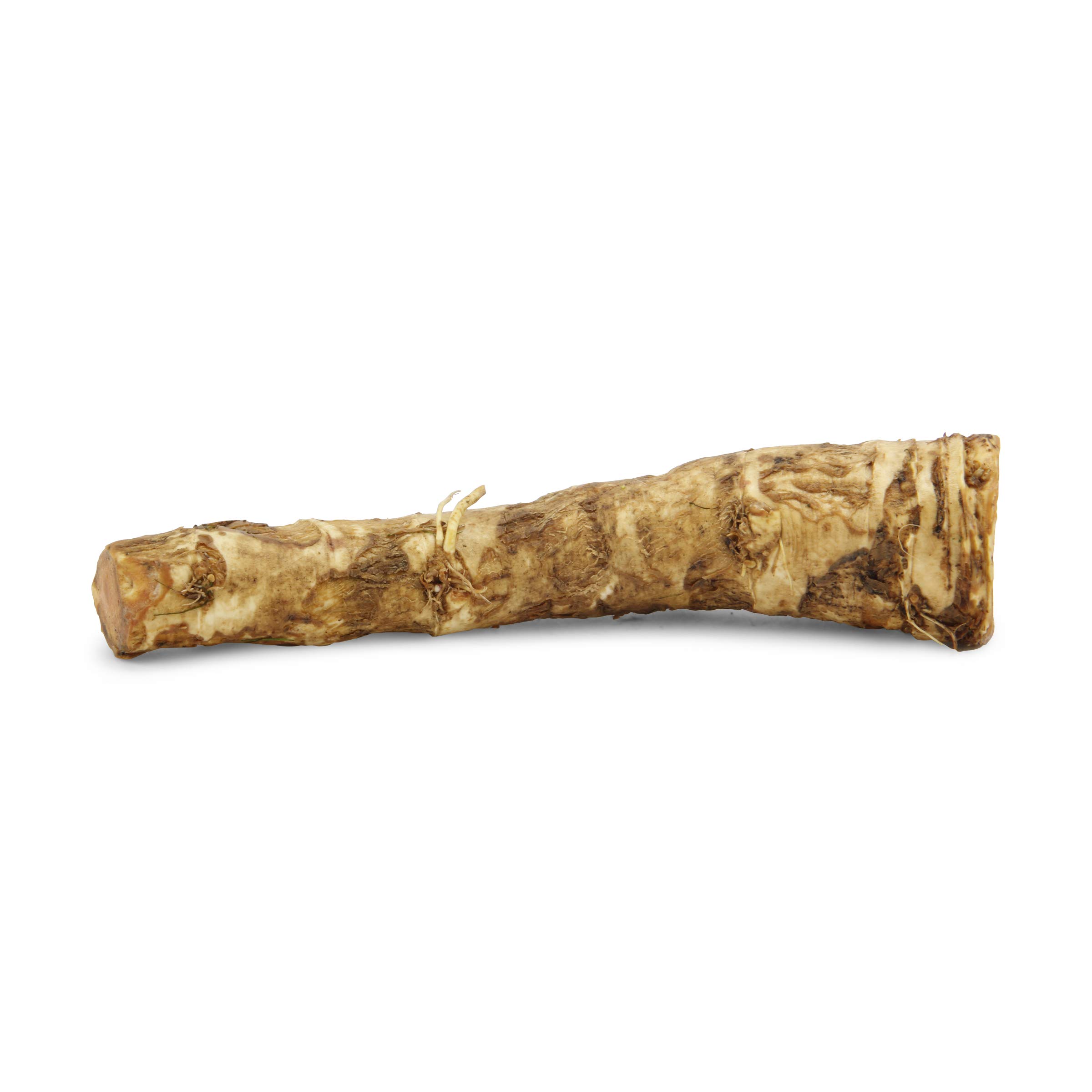 Root Horseradish Organic, 0.5Lb