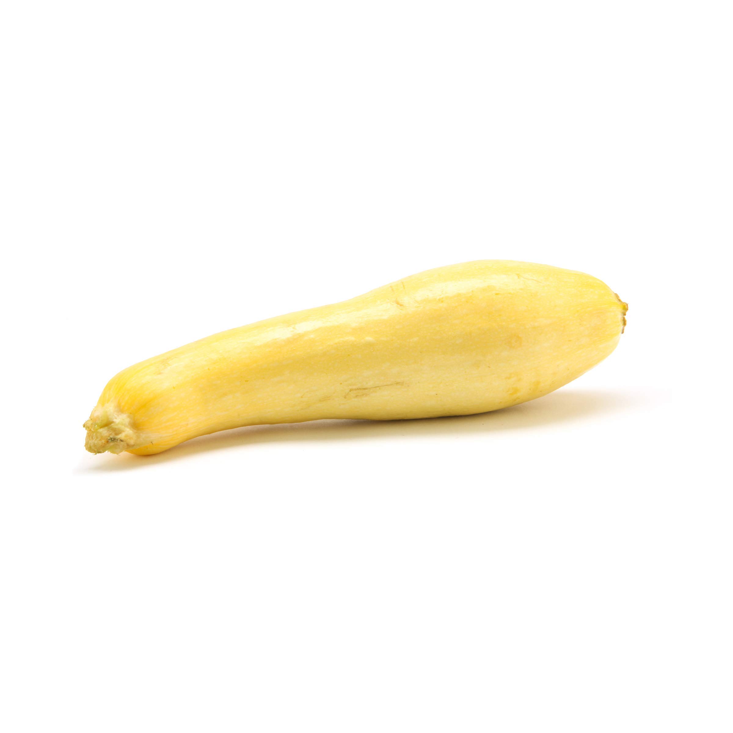 Organic Yellow Squash, 1 LB