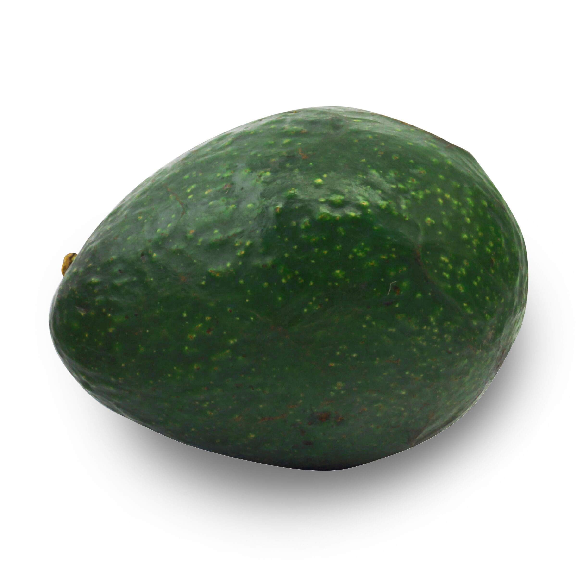 Green Avocado