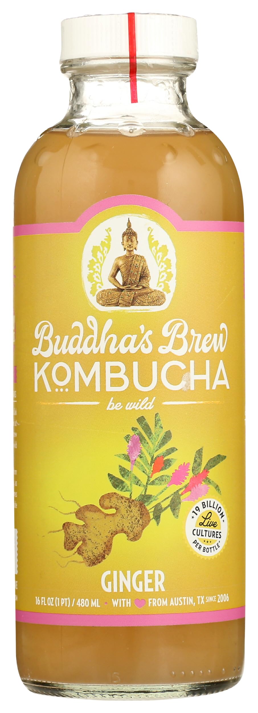 Kombucha Ginger, 16 Fl Oz