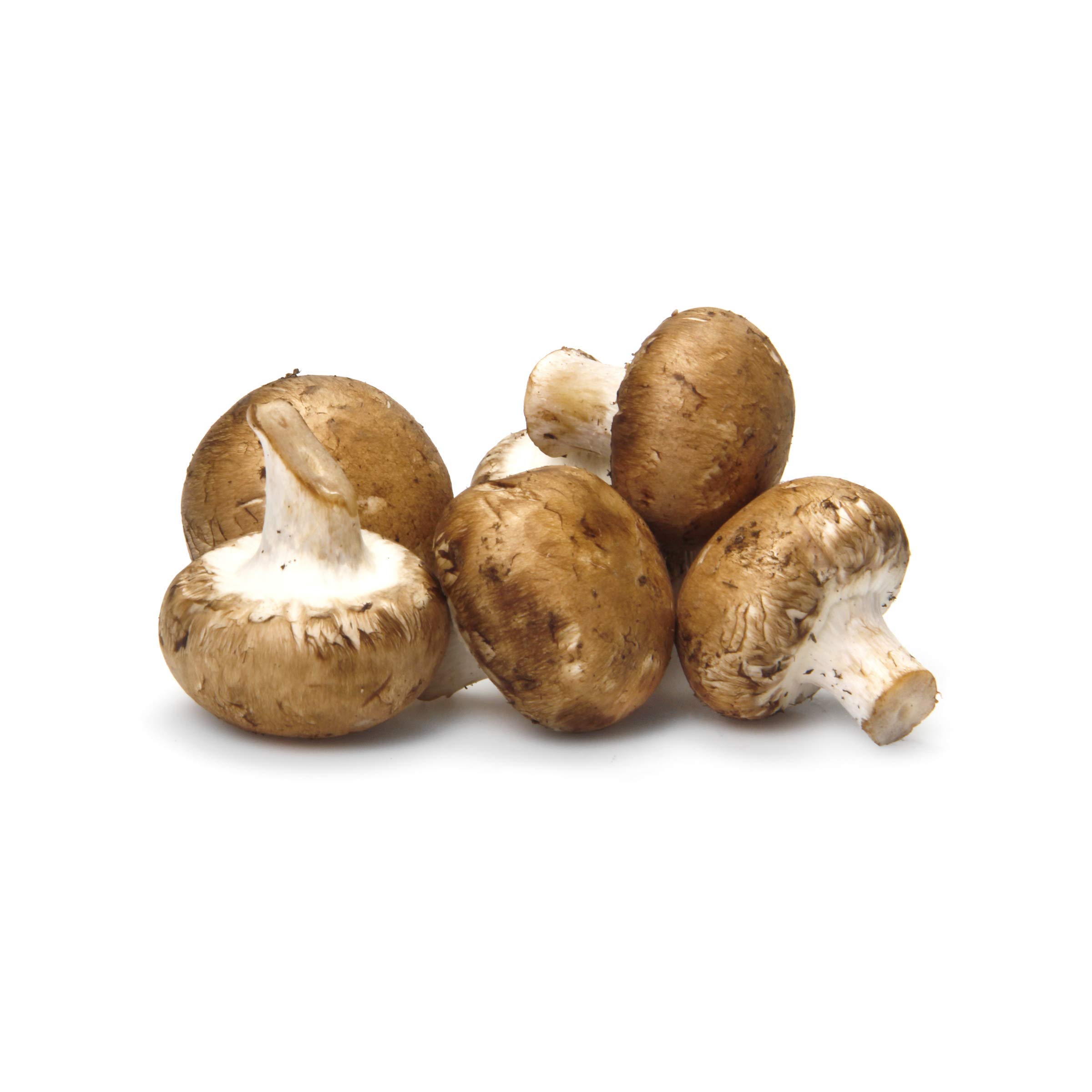 PRODUCE Organic Mushroom Cremini Brown, 1 Pound