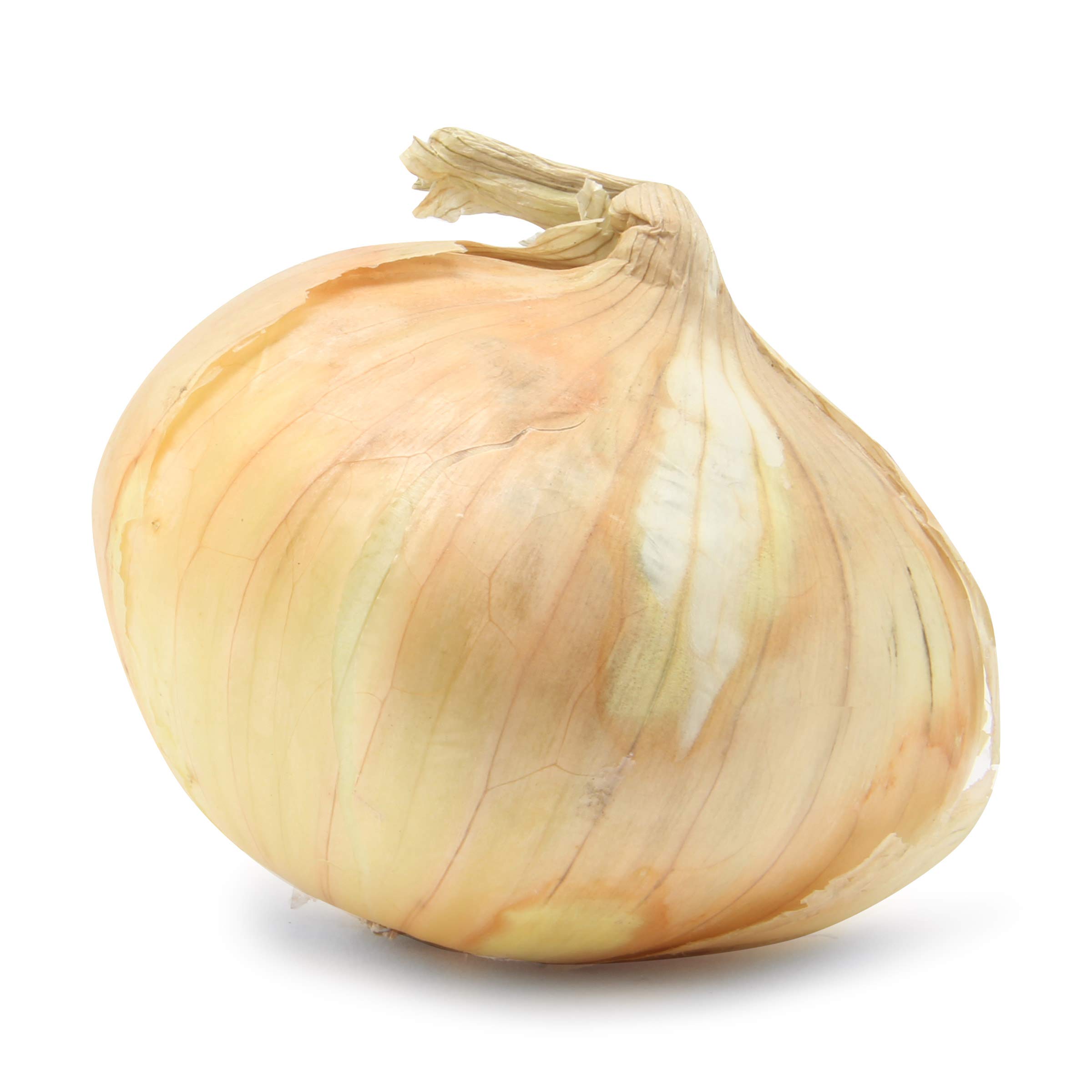 SCOVEE Vidalia Onion