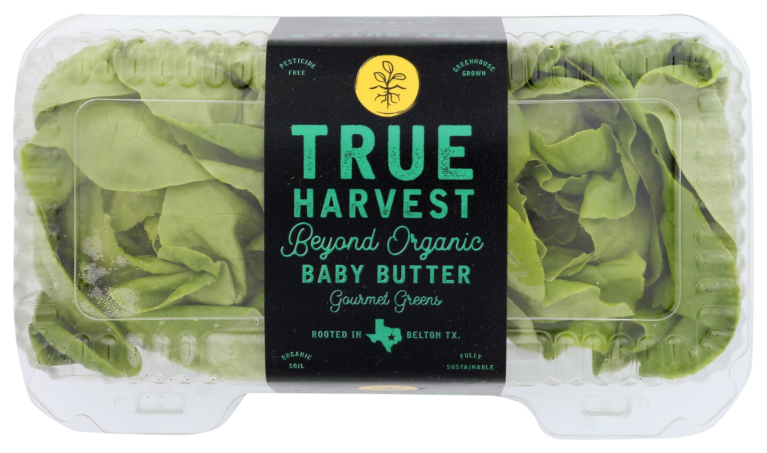 Baby Butter, 1 EA