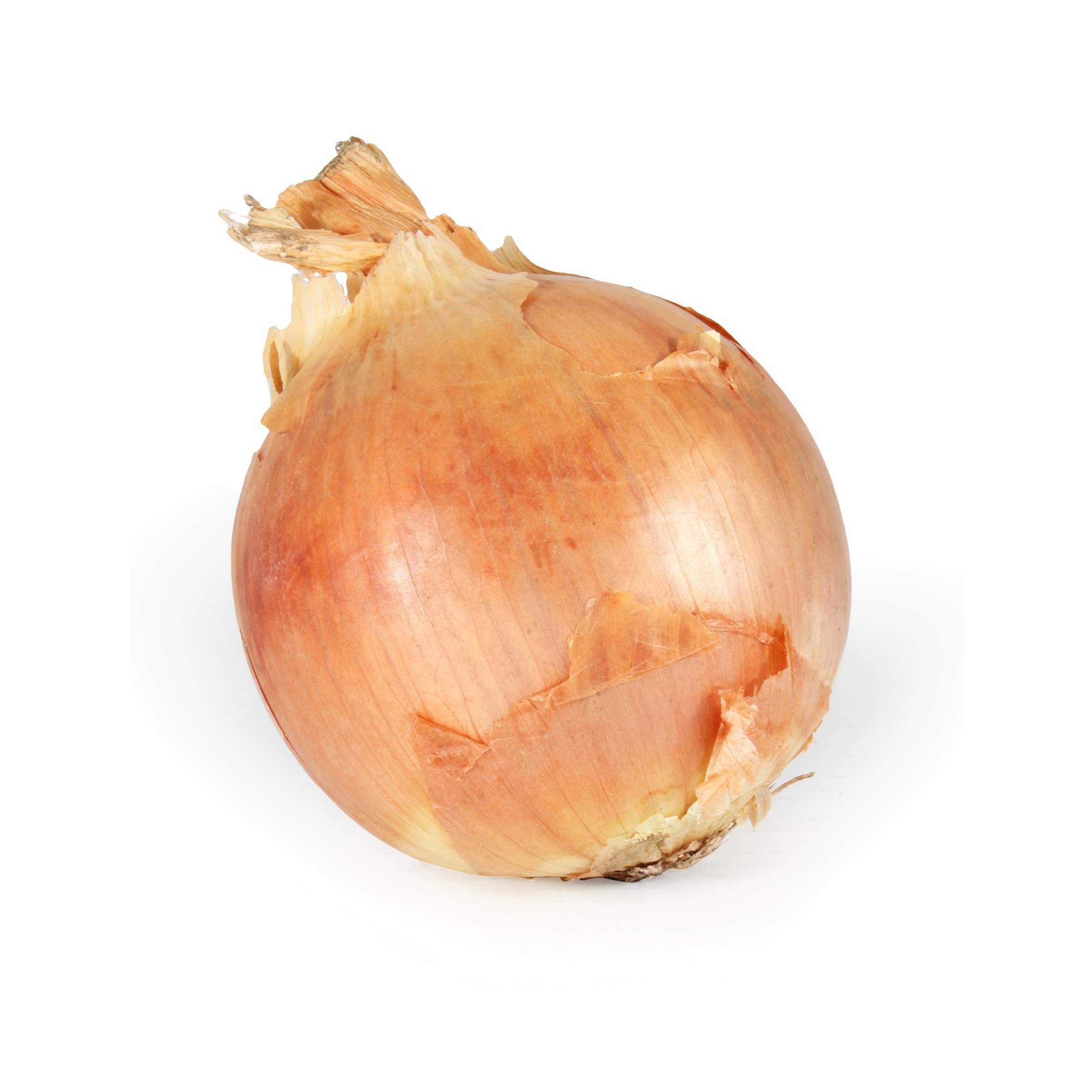 Onion Yellow Conventional, 1 Each