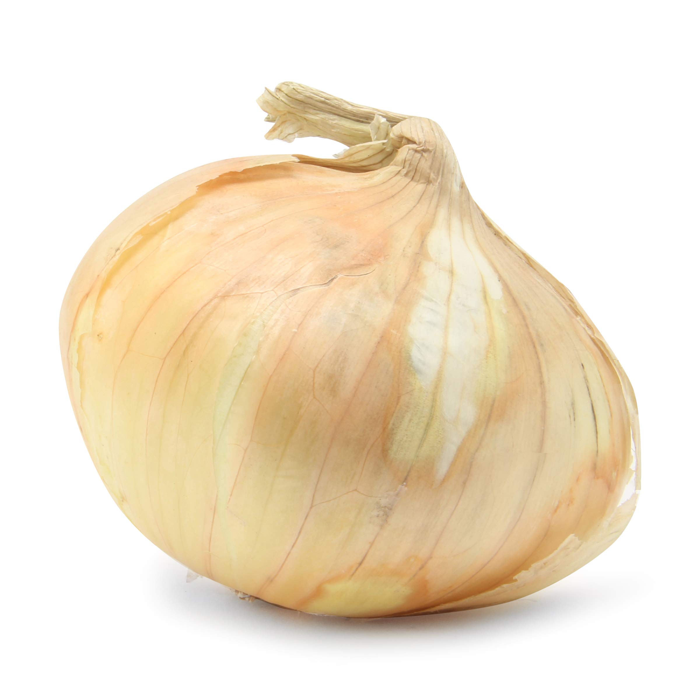 Organic Vidalia Onion
