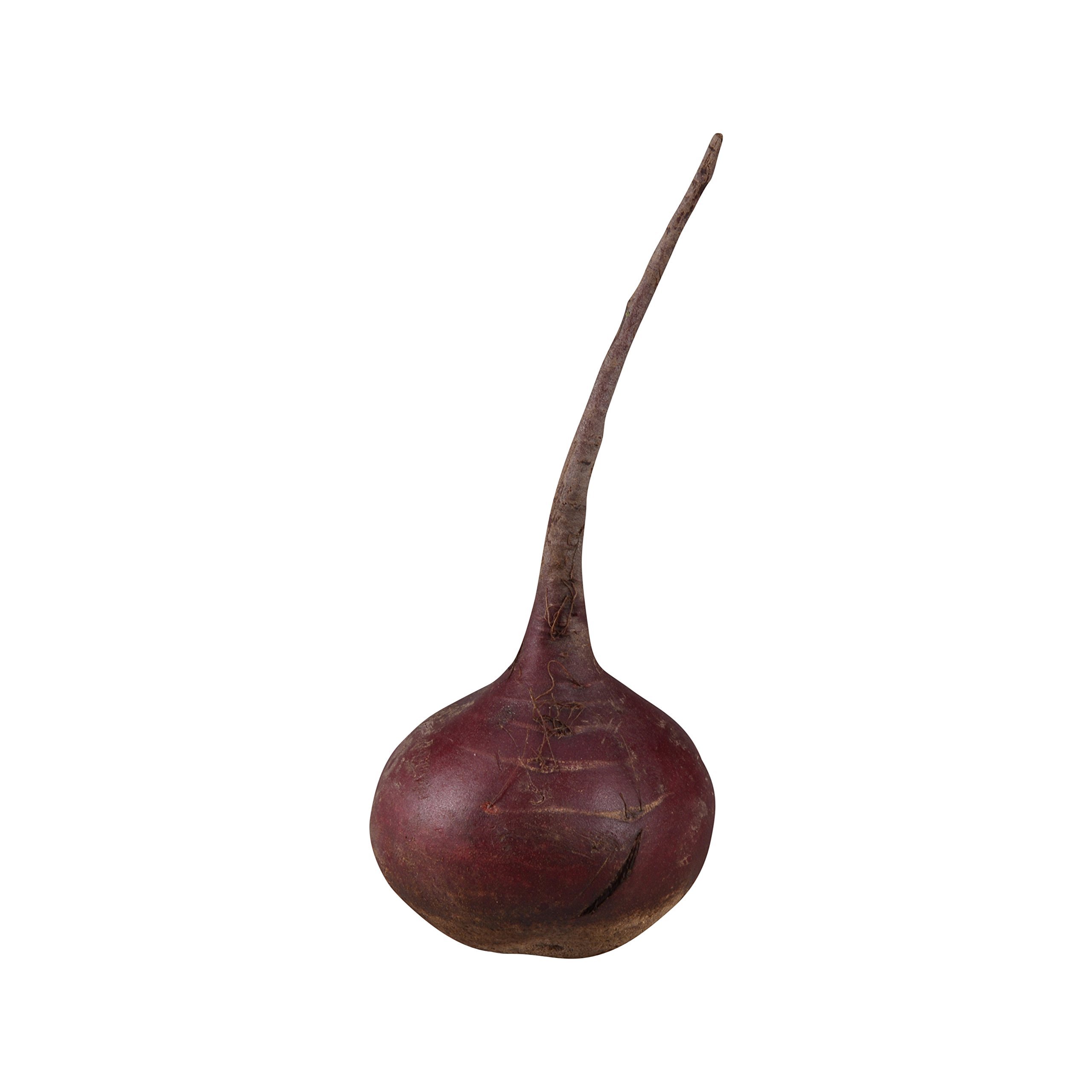 Organic Chioggia Beet