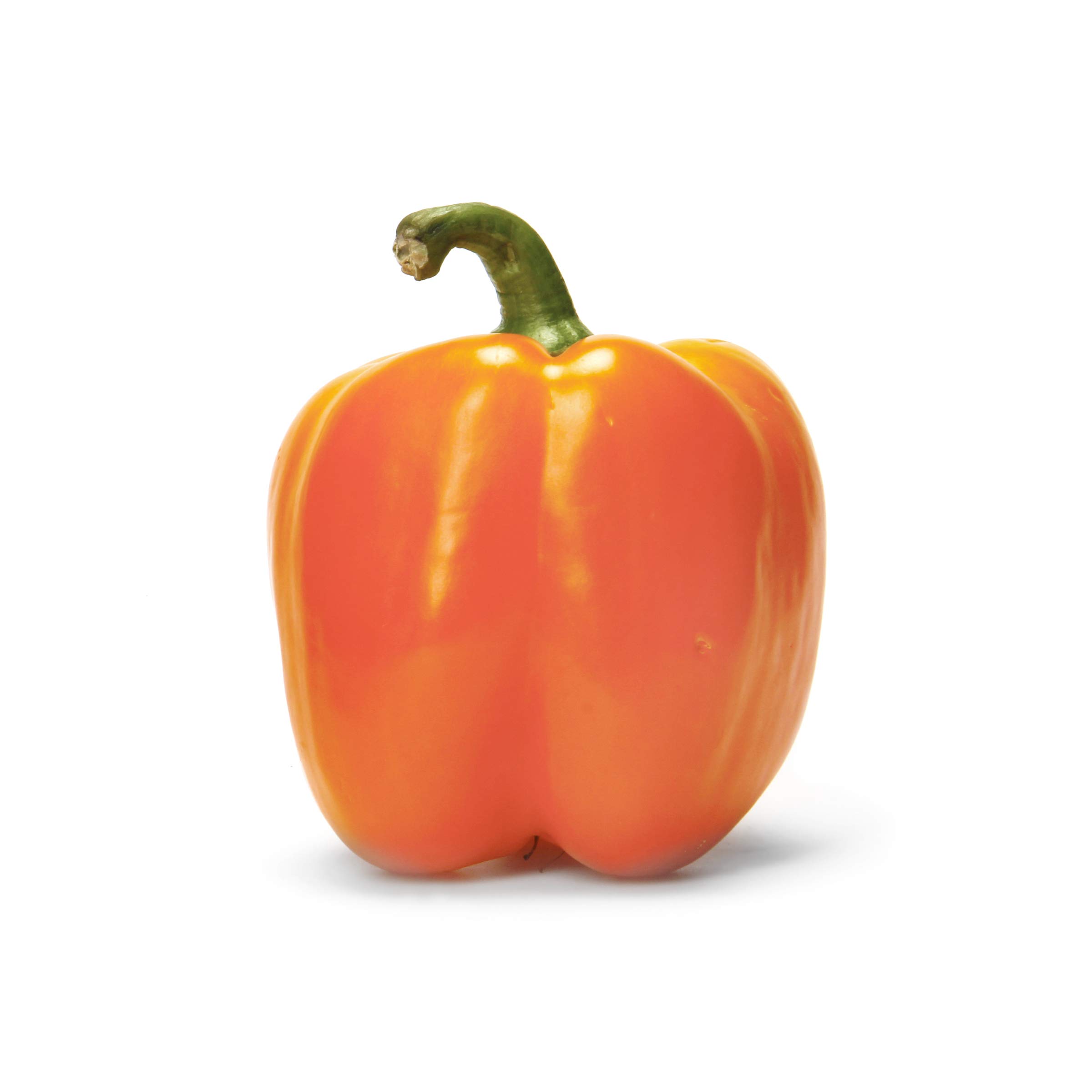 Orange Bell Pepper