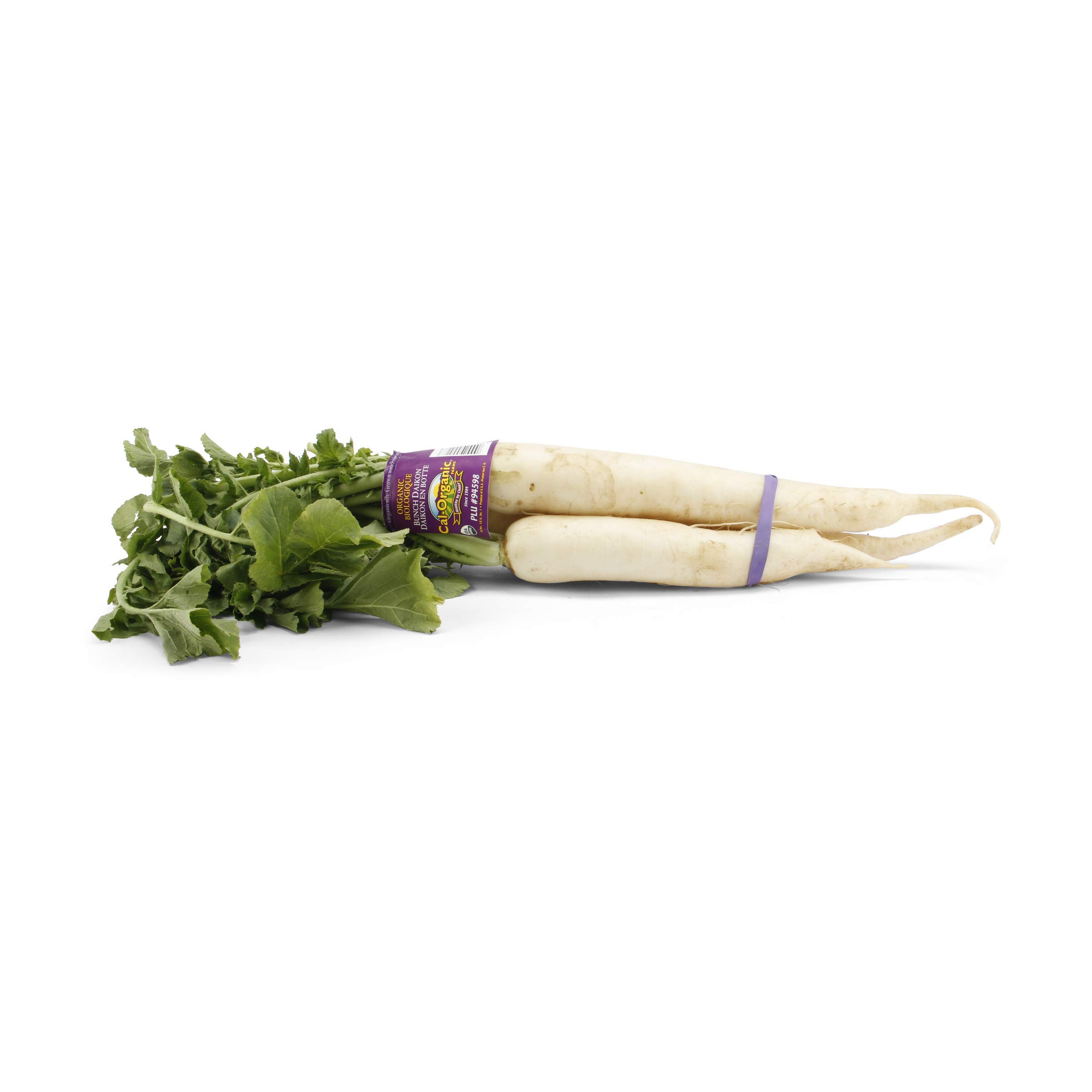 Organic Daikon Radish